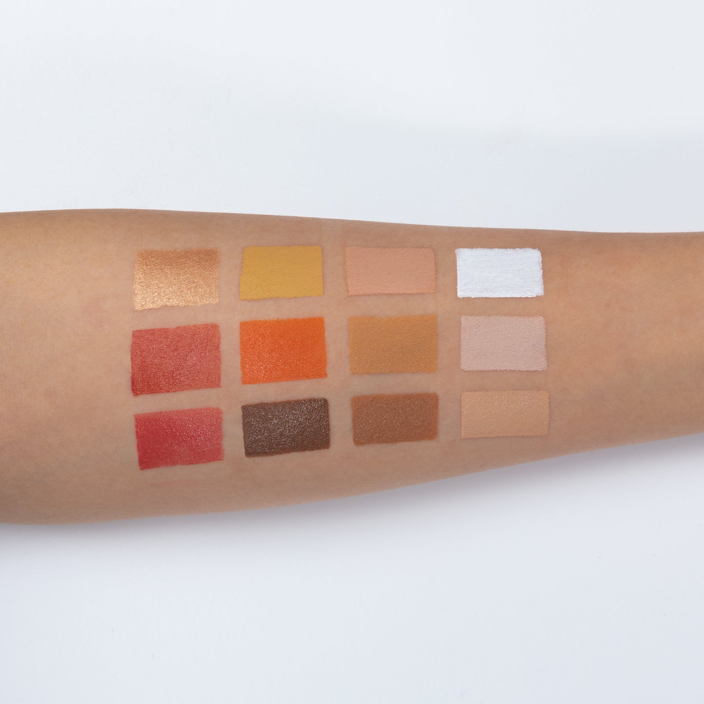 لوحات الوجه المتكاملة FP12