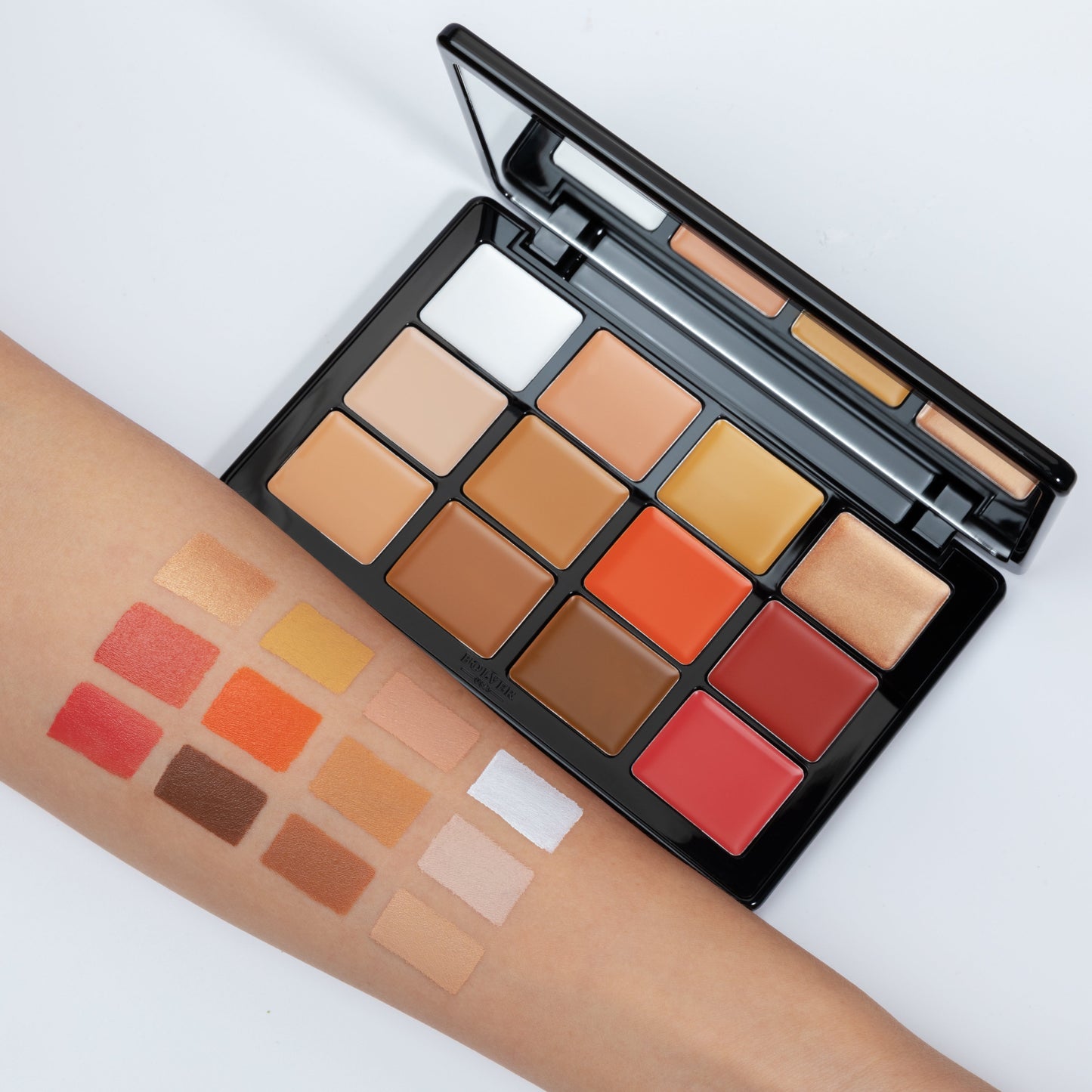 لوحات الوجه المتكاملة FP12